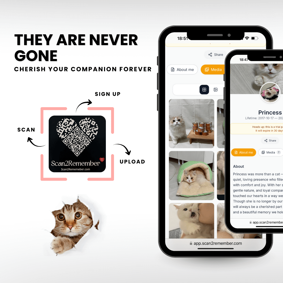 Cat Memorial QR Plaque - Forever Remember Your Feline Friend | Scan2Remember